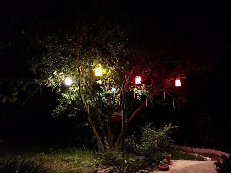 Masukiye * Kartepe
